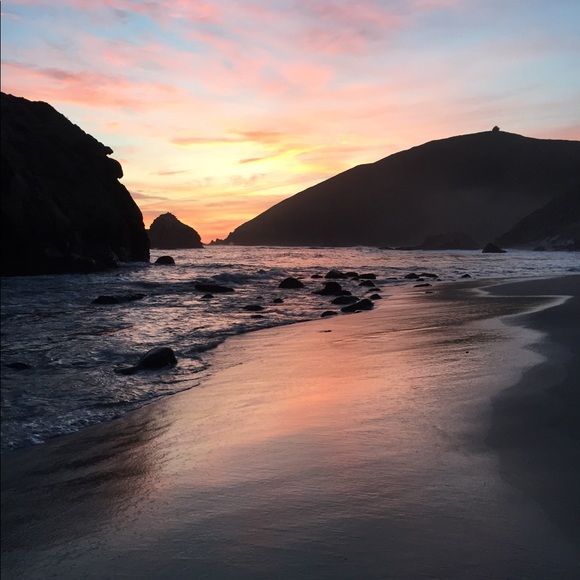 Meet your Posher, Shelby - Picture 1 of 1